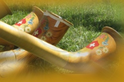 Anmeldung Kurs FASZINATION ALPHORN