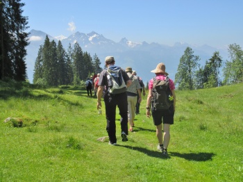 Mehr Bilder: Klicken...
