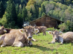 BO Herbst 14 066