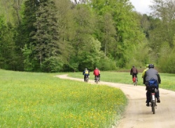 Anmeldung Kurs (KUL-)TOUR DURCHS STÄDTLI PER E-BIKE