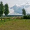 Erlebnisort Bauernhof 08