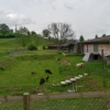 Erlebnisort Bauernhof 23