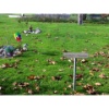Neue Friedhofgeschichten 11