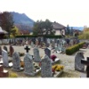 Neue Friedhofgeschichten 17