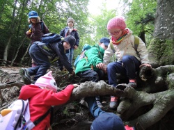 Kurs 6 Lernen ist lernbar