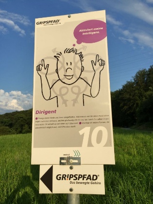 Das bewegte Gehirn Titelbild