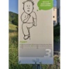 Das bewegte Gehirn 07