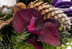Anmeldung Kurs MEEHR... ALS GRABSCHMUCK