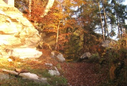 Kurs Horizonte 