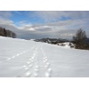 snowup 15