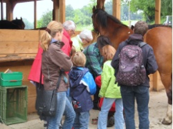 Kinder beim Pferdestriegeln... Kinder beim Pferdestriegeln...