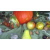 Herbstwelten 1 05