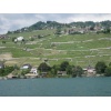 Lausanne 15