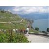 Lausanne 21