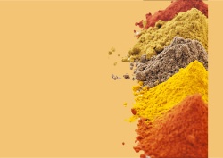 Anmeldung Kurs CURRY – ERLEBNIS FÜR DIE SINNE