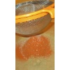 Erlebnis Curry 06