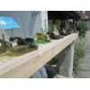 tierisch gut 03