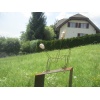 tierisch gut 09